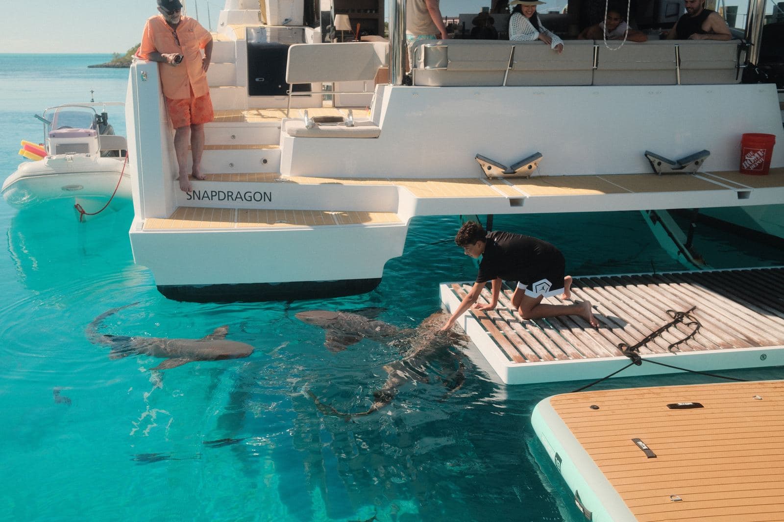 Swimming with nurse sharks — Exumas